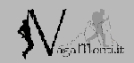 Vagamonti