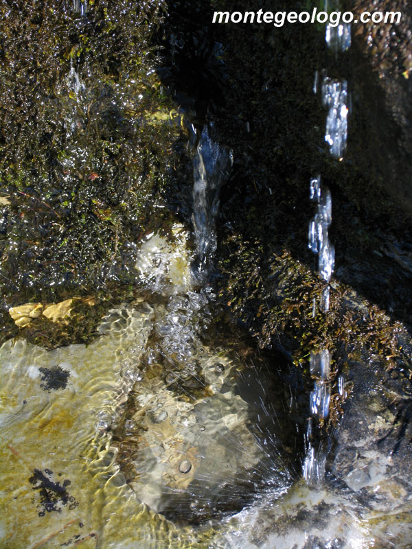 Acqua