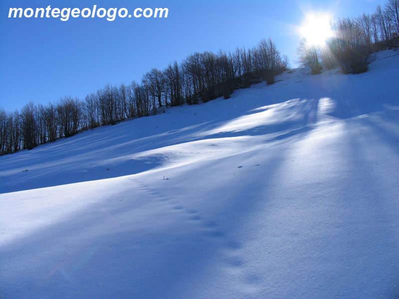 Radura innevata Abetone